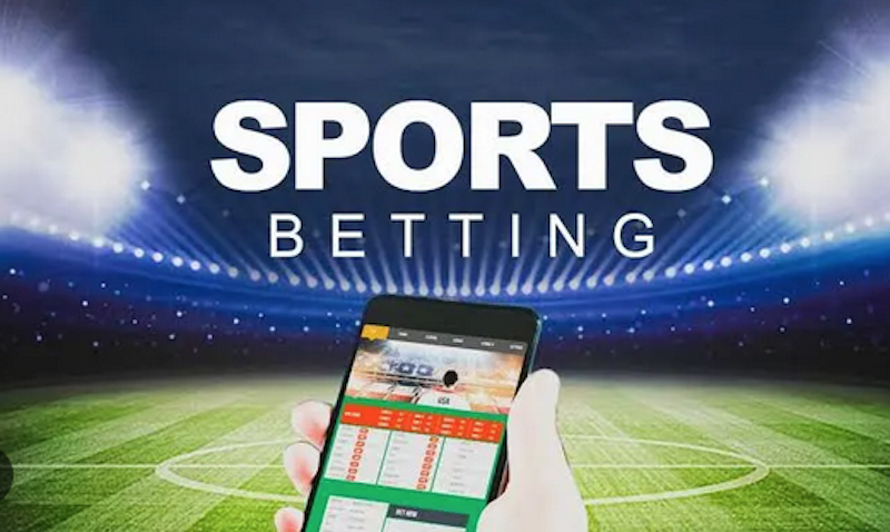 Everything You Need to Know About Kess Bet 4