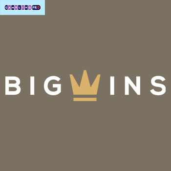 BigWins Casino Site: Player Rankings & Our Decision