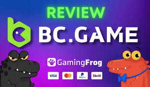 Все о live bets on BC.Game стратегии, советы и особенности